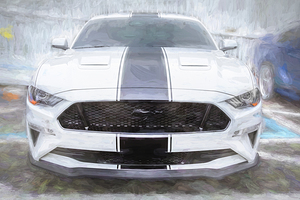 2019 White Ford Mustang GT 5.0 Premium X1 8
