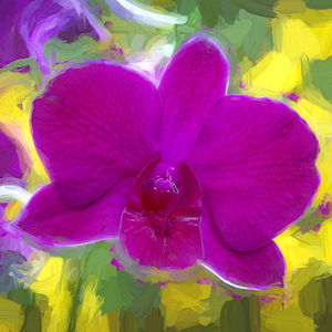 Purple Dendrobium Orchids X12 4