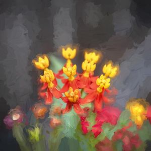 Milkweed Flowers X109