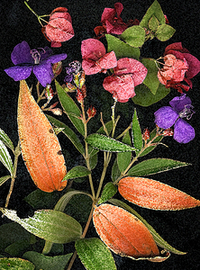 Out of the Garden 2 X103