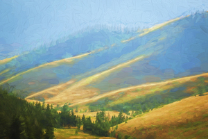 Out in the Valley Montana X101