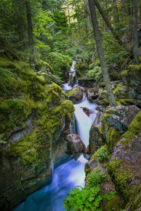 Avalanche Gorge 3 Glacier National Park X111