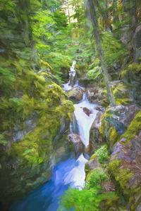 Avalanche Gorge Glacier National Park X100
