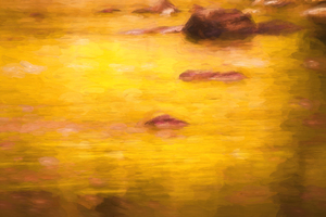 Golden Reflections North Fork Flathead River X101