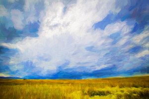Big Sky Montana Wheat Fields X104
