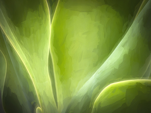 Agave Leaves Abstract X1 4