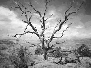 Paria Tree Last Stand X100