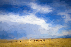 Wild Mustang herd Grazing X100