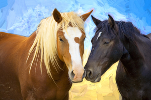 Best Buddies Wild Mustangs X100