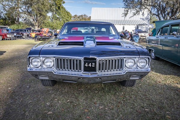 1970 Black Oldsmobile 442 W30 X 20 Print