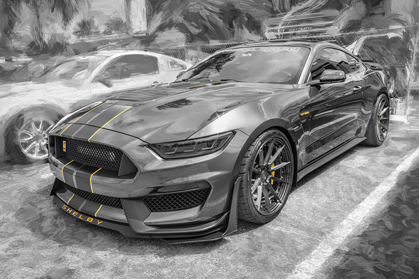 2016 Gray Ford Shelby Mustang GT350 X 6