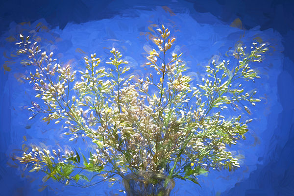 White Nandina Heavenly Bamboo X100 Print
