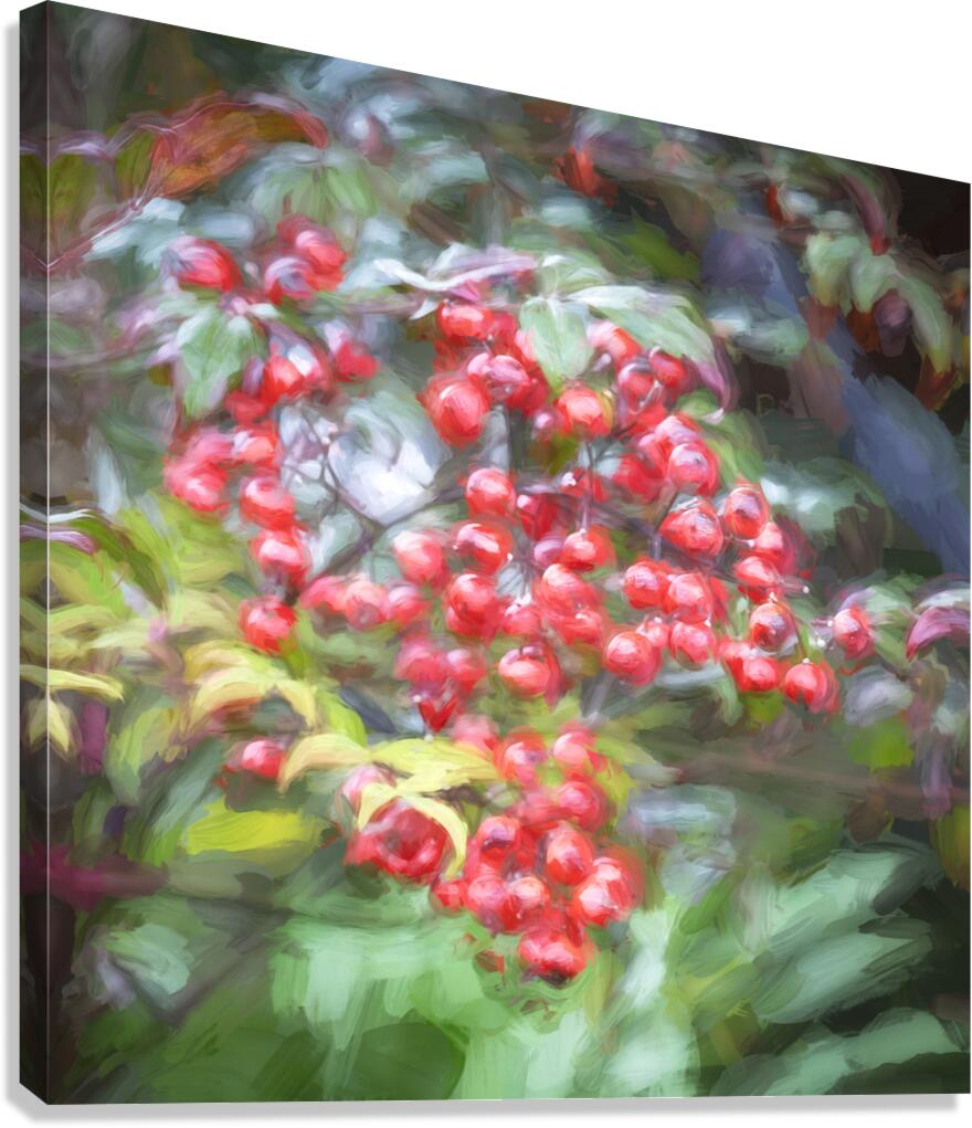 Red Berries Nadina Heavenly Bamboo X1 1 Canvas Print
