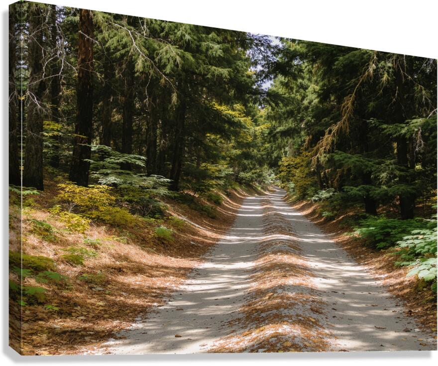 wall art Canvas Print