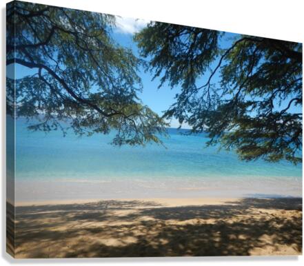 Kaanapali Canvas Print