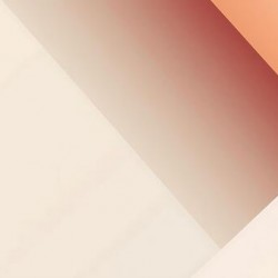 Dynamic Forms in Experimental