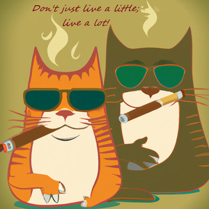 BadCatz Selfie 3