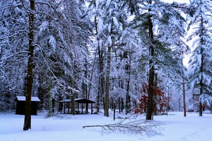 Winter Wonderland 2