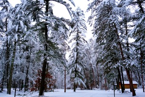 Winter Wonderland 