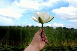 Gift to the Sky