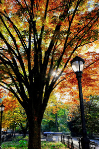 A Stroll in Color