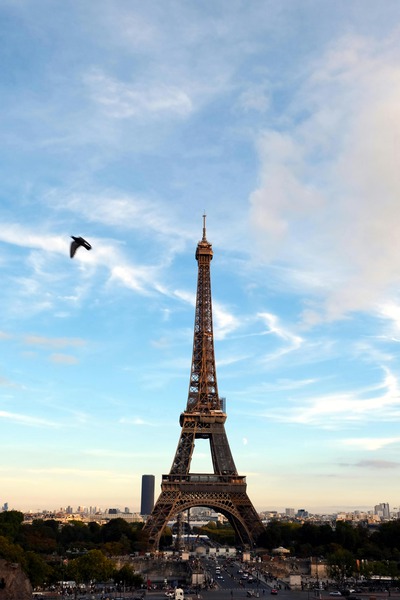 Eiffel Tower 1 Digital Download