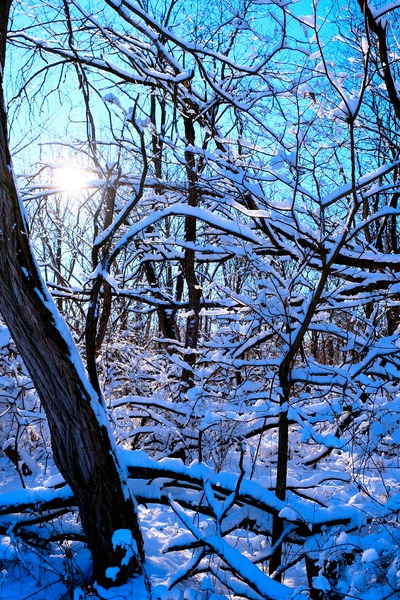 Frozen Limbs 3 Digital Download