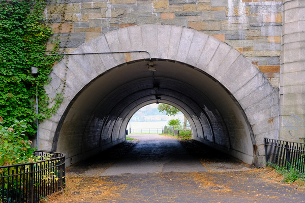 Vaulted Passage Téléchargement Numérique