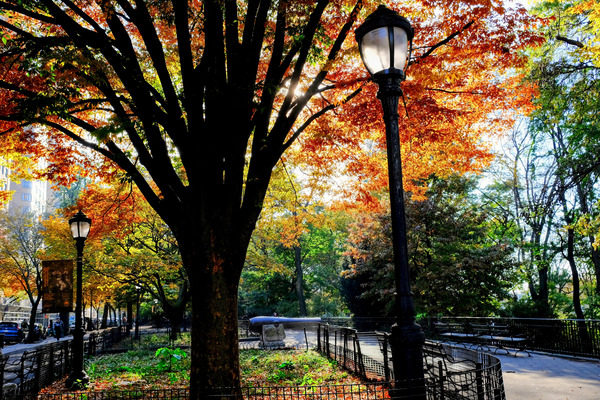 Autumn Radiance Digital Download