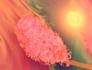 love of beauty hidden