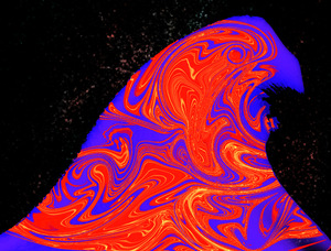 Chakra lover