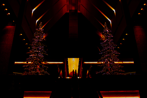 Twin Souls Within Darkness