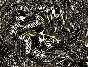 the manifestation of creation