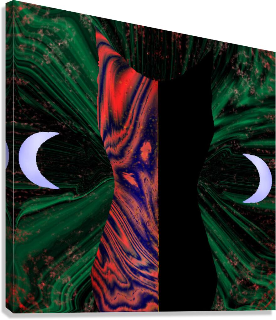 spirit humming cat Canvas Print