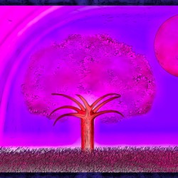 The innocent heart