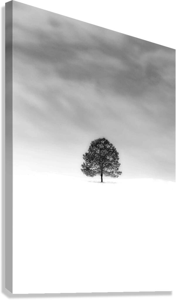 BOSS TREE Canvas Print