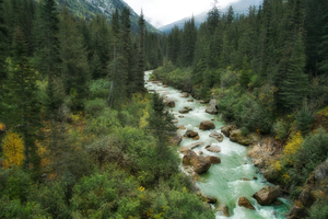 Creek Juneau Alaska
