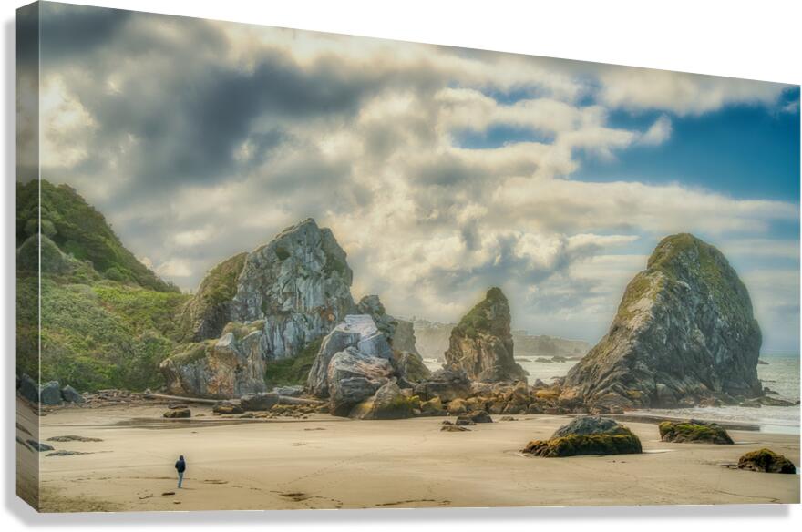 Low Tide Canvas Print