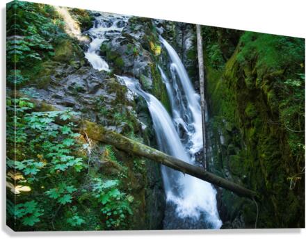 Sol Duc Falls Canvas Print