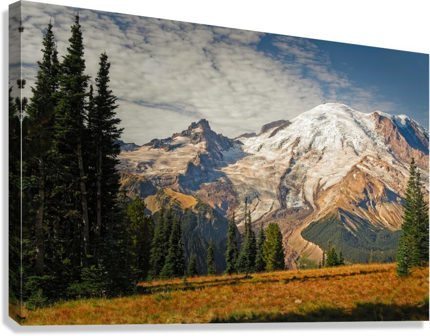 Mt. Rainier Canvas Print