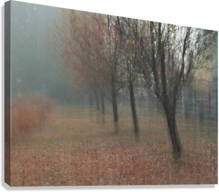 Tree Row Canvas Print