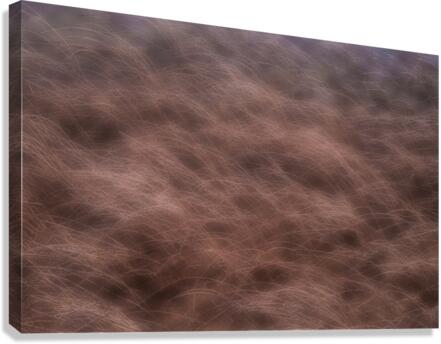 Lake Grasses Canvas Print