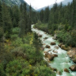 Creek Juneau Alaska