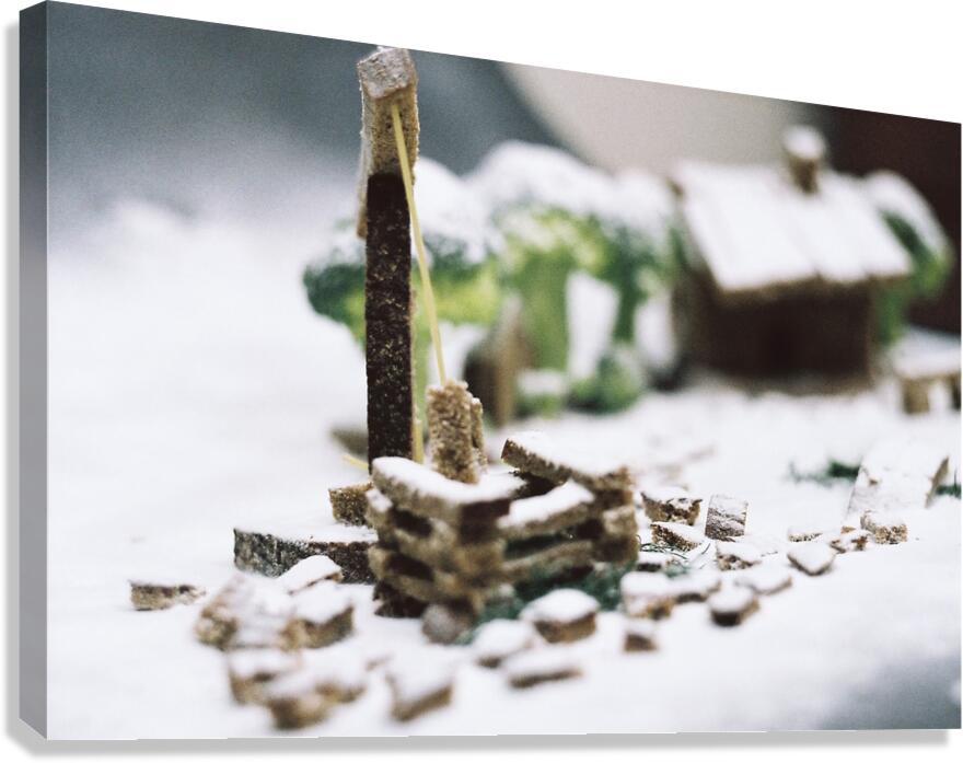 The Well Canvas Print