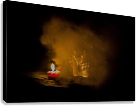 Skull 4  Canvas Print