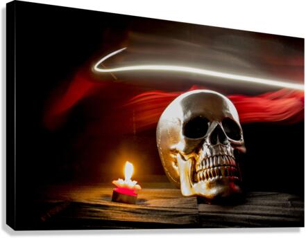 skull 3  Canvas Print