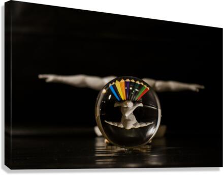 illusion Canvas Print