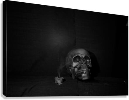  skull Canvas Print