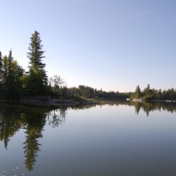 Reflections