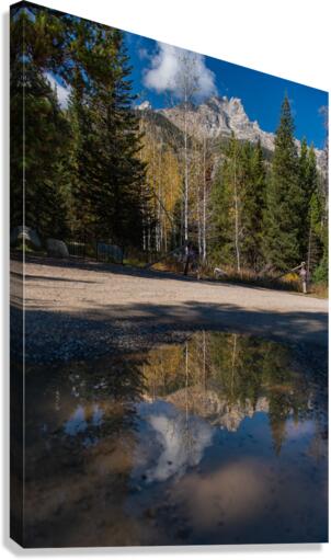 GTNP puddle Canvas Print